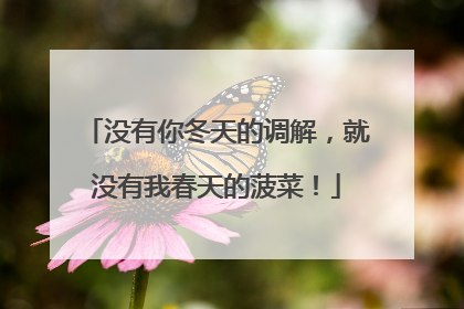 没有你冬天的调解，就没有我春天的菠菜！