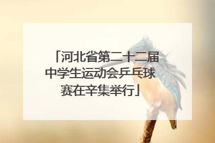 河北省第二十二届中学生运动会乒乓球赛在辛集举行