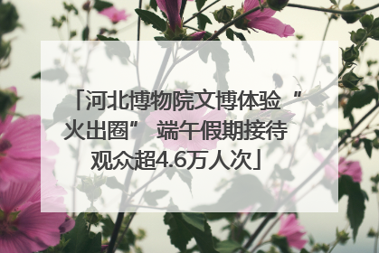 河北博物院文博体验“火出圈” 端午假期接待观众超4.6万人次