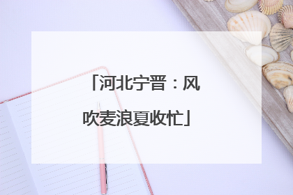河北宁晋：风吹麦浪夏收忙