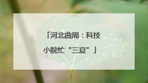 河北曲周：科技小院忙“三夏”