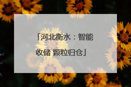 河北衡水：智能收储 颗粒归仓