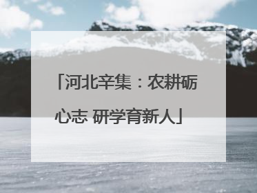河北辛集：农耕砺心志 研学育新人