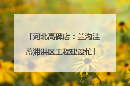 河北高碑店：兰沟洼蓄滞洪区工程建设忙