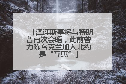 泽连斯基将与特朗普再次会晤，此前曾力陈乌克兰加入北约是“互惠”