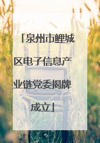 泉州市鲤城区电子信息产业链党委揭牌成立