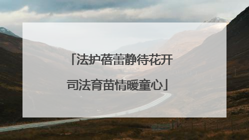 法护蓓蕾静待花开 司法育苗情暖童心