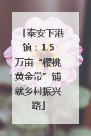 泰安下港镇：1.5万亩“樱桃黄金带”铺就乡村振兴路
