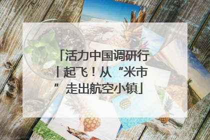 活力中国调研行丨起飞！从“米市”走出航空小镇