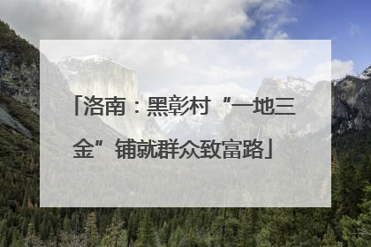 洛南：黑彰村“一地三金”铺就群众致富路