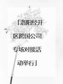 洛阳经开区跨国公司专场对接活动举行
