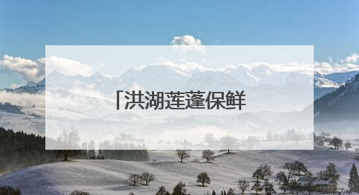 洪湖莲蓬保鲜延长至15天