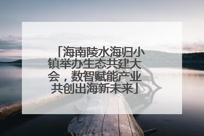 海南陵水海归小镇举办生态共建大会，数智赋能产业共创出海新未来