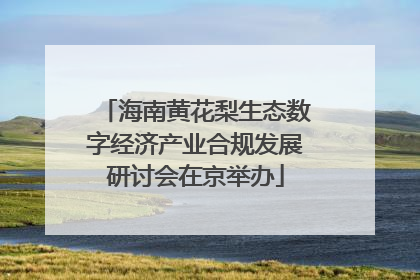 海南黄花梨生态数字经济产业合规发展研讨会在京举办