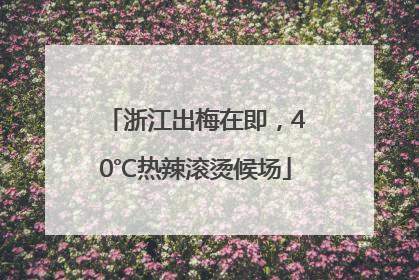 浙江出梅在即，40℃热辣滚烫候场