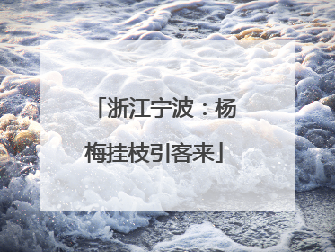 浙江宁波：杨梅挂枝引客来