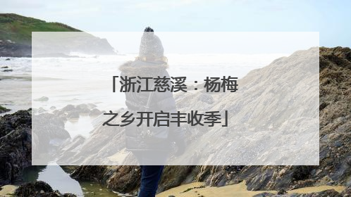 浙江慈溪：杨梅之乡开启丰收季
