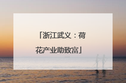 浙江武义：荷花产业助致富