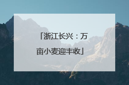 浙江长兴：万亩小麦迎丰收