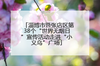 淄博市暨张店区第38个“世界无烟日”宣传活动走进“小义乌”广场