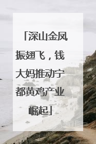 深山金凤振翅飞，钱大妈推动宁都黄鸡产业崛起