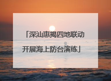 深汕惠揭四地联动开展海上防台演练