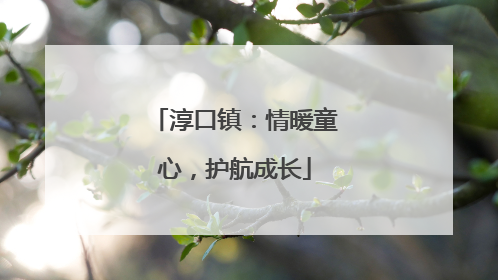 淳口镇：情暖童心，护航成长