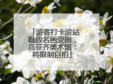 游客打卡没站稳致名画受损，乌菲齐美术馆：将限制自拍