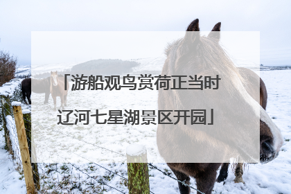 游船观鸟赏荷正当时 辽河七星湖景区开园