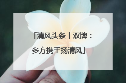 清风头条丨双牌：多方携手扬清风