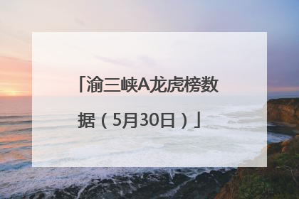 渝三峡A龙虎榜数据（5月30日）