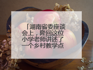 湖南省委座谈会上，隆回这位小学老师讲述了一个乡村教学点的温暖故事