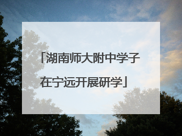 湖南师大附中学子在宁远开展研学