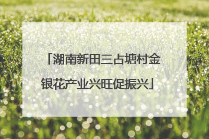 湖南新田三占塘村金银花产业兴旺促振兴
