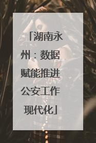 湖南永州：数据赋能推进公安工作现代化