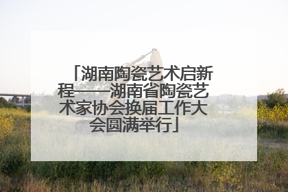 湖南陶瓷艺术启新程——湖南省陶瓷艺术家协会换届工作大会圆满举行