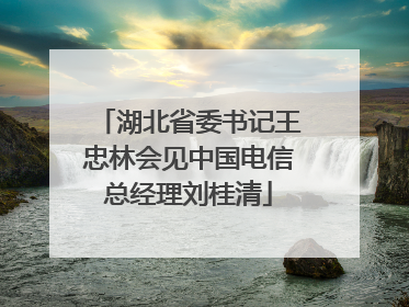 湖北省委书记王忠林会见中国电信总经理刘桂清