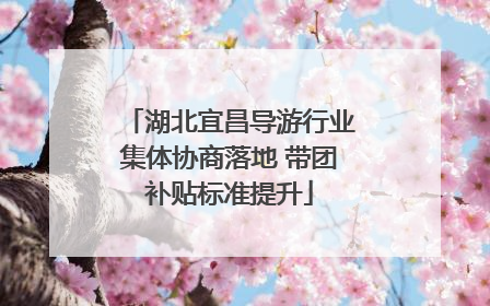 湖北宜昌导游行业集体协商落地 带团补贴标准提升