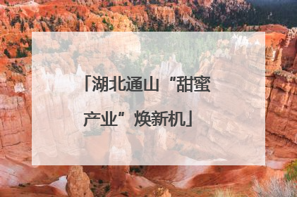 湖北通山“甜蜜产业”焕新机