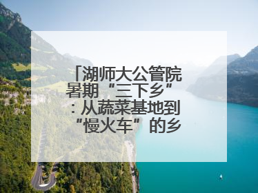 湖师大公管院暑期“三下乡”：从蔬菜基地到“慢火车”的乡村振兴实践