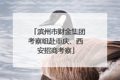 滨州市财金集团考察组赴重庆、西安招商考察