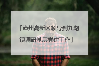 漳州高新区领导到九湖镇调研基层党建工作