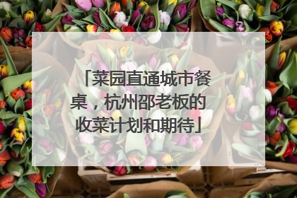 菜园直通城市餐桌，杭州邵老板的收菜计划和期待