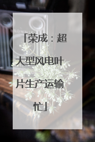 荣成：超大型风电叶片生产运输忙