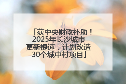获中央财政补助！2025年长沙城市更新提速，计划改造30个城中村项目