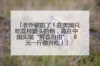 老外破防了！在美国只吃荔枝罐头的他，竟在中国实现“鲜荔自由”：8元一斤敞开吃！