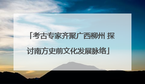 考古专家齐聚广西柳州 探讨南方史前文化发展脉络