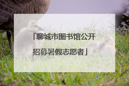 聊城市图书馆公开招募暑假志愿者