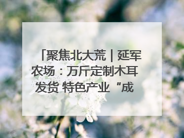 聚焦北大荒｜延军农场：万斤定制木耳发货 特色产业“成绩单”亮眼