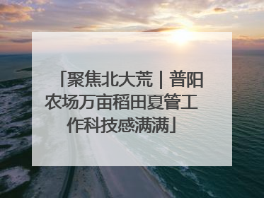 聚焦北大荒｜普阳农场万亩稻田夏管工作科技感满满